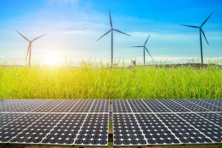 Zonnepanelen geïnstalleerd in een goudgeel maïsveld en rijstveld, symboliserend de combinatie van landbouw en hernieuwbare energie.