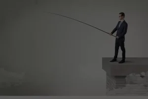 TransStock Bedrijvenzoeker met filters voor sector en regio