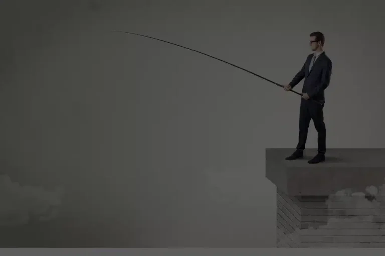 TransStock Bedrijvenzoeker met filters voor sector en regio