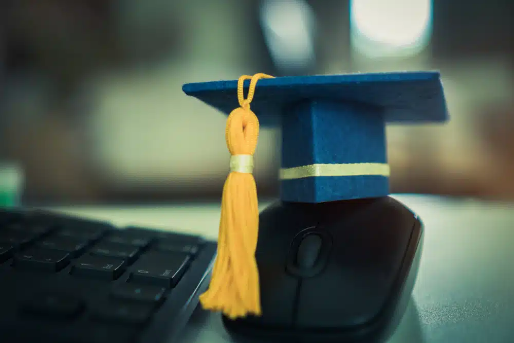 TransStock koppelbare tabbladen