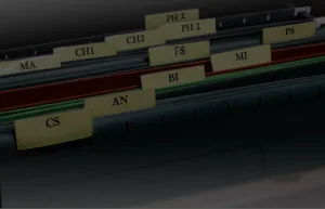 TransStock interface met meerdere tabbladen en grafieken