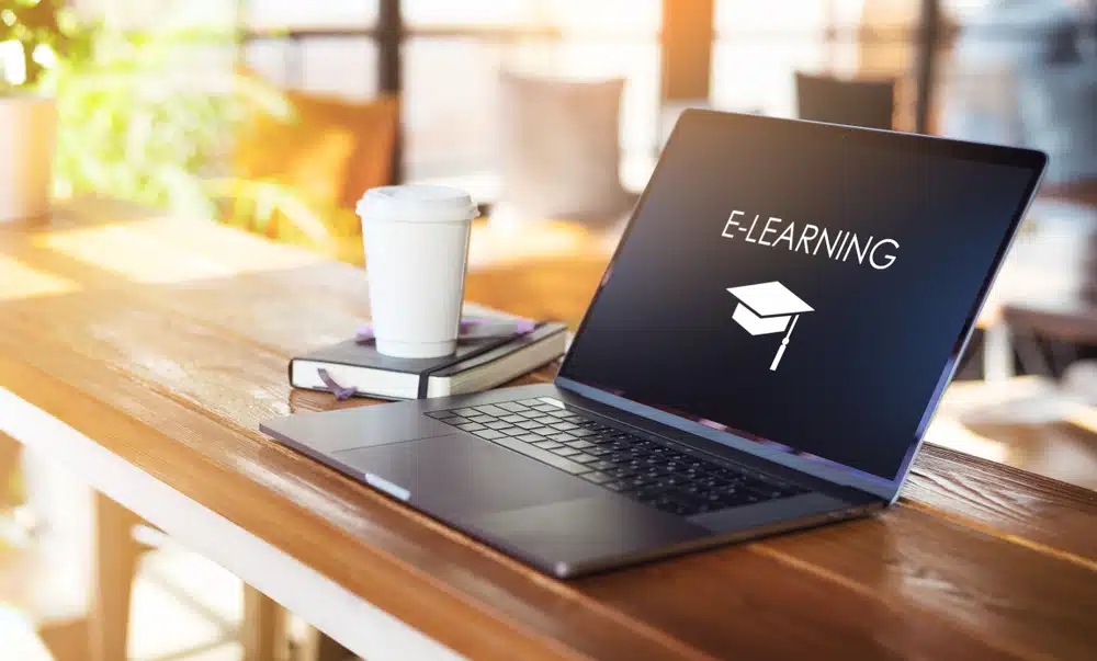 TransStock tutorials